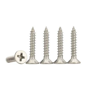 Stainless Steel SS 201 304 Metric/Inch Grade A2/A4 Polished Finish Self Tapping Screws
