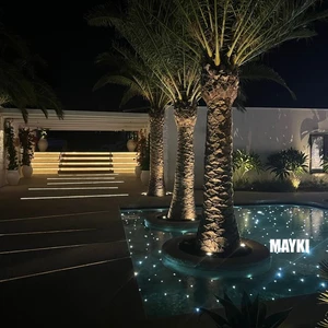 Color Changing Outdoor LED Fiber Optic Star Pool Light Underwater Fiber Optic Pool Stars Lighting Kits