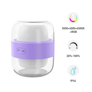 Rechargeable Cordless Bedside Ambient Table Lamp Night Light RGB Light Dimmable Simple Indoor Outdoor Portable Bedroom Living