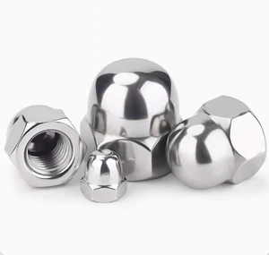 3/8 7/16 1/2 UNC Inch Passivated Zinc Plated Thread Stainless Steel 304 Class 8.8 DIN 1587 Hex Domed Acorn Nuts