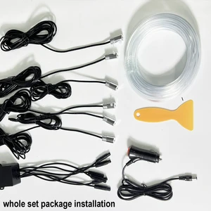 Fiber Optic Lighting RGBW DC12V LED Fiber Optic Light