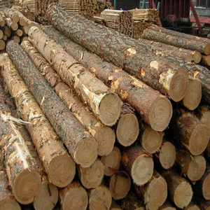 Natural Philippines Oak Wood Log-Agro Brand Standard Specification 24 Months Shelf Life Cold Dry Storage Contact Us for Details