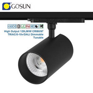 Customized 15W 20W 30W 40W 50W COB LED Track Light Commercial Price Modern Style with Aluminum Body