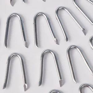 Wholesale Factory SG Silver U-shaped Galvanized Iron Nail Smooth Ring Shank Sharp Point for Woodworking Construction Fence