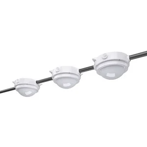 Agriculture Livestock LED Lighting Solution for Farm Poultry Without Flicker DLC ETL Certified 5-Year Warranty 1-10V Dimmable