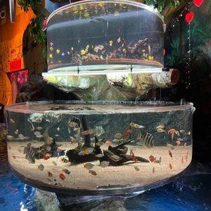 Wall Mounted Large Fish Tank Aquarium Square Acrylic 50mm 80mm Plastic Fish Aquarium Tank