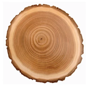 Premium Teak Round Logs Kiln Dried Hardwood Timber for Furniture and Interior Woodwork