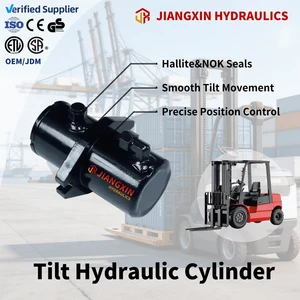 Industrial-Grade 48.5mm Stroke Large Capacity High-Performance Factory-Direct Wholesale Price Hydraulic Cylinder for Tilt