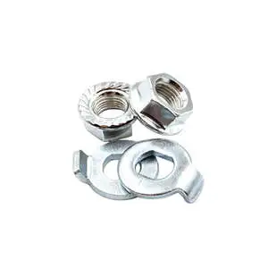 Nut and Washer for Motor Model 8509899800918 SKU S00549