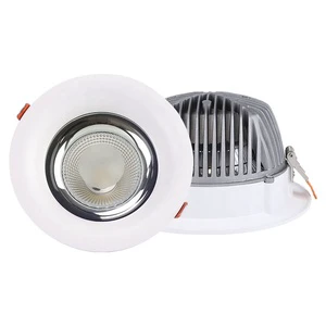 LED Down Light COB 6w 12w 18w 24w 36w 3Inch 4 Inch Cri 90 RoHS Warm Downlight Spotlight