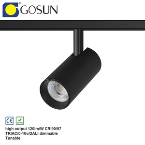 CE/RoHS 8W Slim Design Double Head COB LED Track Light Magnetic Rail Aluminum Body Anti-Glare 120LM/W CRI90 for Boutique Stores