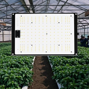 200W LED Grow Light LM281B Full Spectrum for Flowers Vegetables 2 Models Dimmable Phyto Lamp for Greenhouse Plant Waterproof