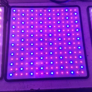 Hot Sale 15W LED Plant Growth Lamp with Red Blue Ratio 225 Light Beads for Vegetable Fruit Seedling Flower Succulent Growing