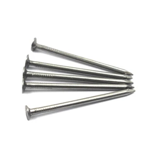 Linyi Factory Supply Polished Common Nails Wire Iron Nail Wood Nails for Construction