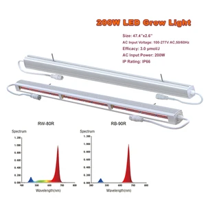 Longood 200W LED Grow Light Indoor Led Plant Bloom Veg Lamp