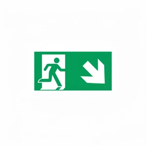Emergency Exit Down Right Arrow Sign 480*250mm Luminescent Aluminum Traffic Sign