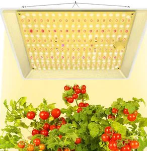 60W Full Spectrum LED Plant Grow Light Lamp for Indoor Plants IP65 Rating