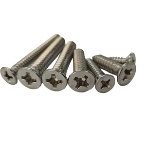 304 Stainless Steel Cross Recessed Self-tapping Screw with Nut
