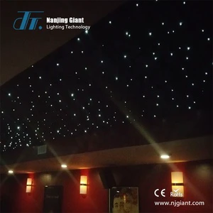 Fiber Optic Starry Sky Ceiling Light for Indoor Light Decoration