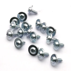China Metal Factory Wholesale Custom Stainless Steel Self-Tapping Washer Screws