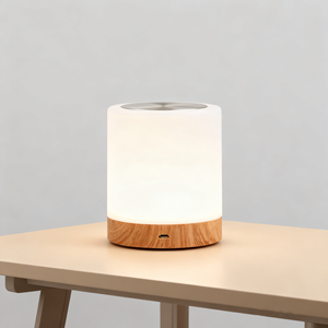 Smart Touch LED Night Light Simple Dimmable Colorful Rechargeable Timing Bedside Table Lamp Outdoor Indoor Camping