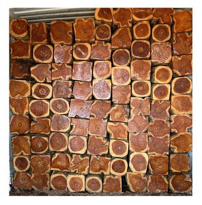 Teak Timber Logs for Wood Processing – Durable Hardwood for Sawmill and Joinery Use