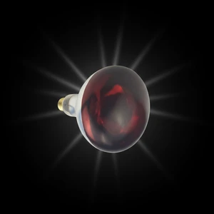 Bongbada Red Infrared Therapy Lamp Heat Light R95 Bulb 200W 130V IP44 E27