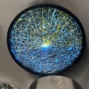 LED Fiber Optic Light Kit 0.75mm Diameter Twinkle Starlight APP Compatible RGBW Color Ceiling Headliner Light IP41 Rated 2-Year
