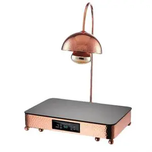 Retractable Heating Lamp Food Heat Lamp Commercial Warmer Service Restaurant for Food Warming Restaurant Buffet Home Use Warmer