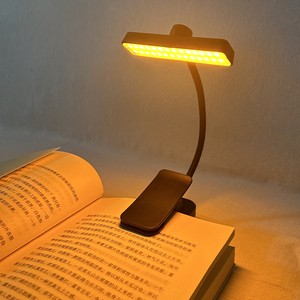 EGH Custom Eye Comfort Portable Mini Clip-on Flexible Long Neck Anti-Glare Flicker Free Amber Book Reading Lamp For Book Lovers