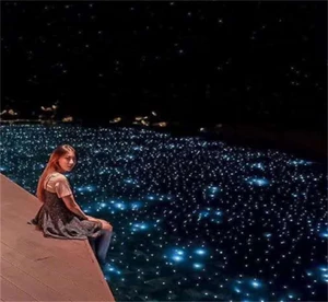 Multi Size Swimming Pool Fiber Optic Cable Light with Black Jacket PMMA Fiber Optic Starry Star Swimming Pool Decoration Light