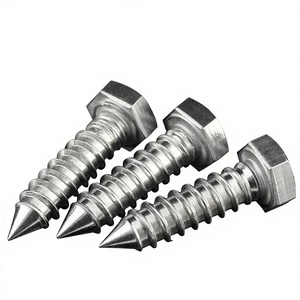 304 Ss Hex Head Self Tapping Screws, rust Resistant, Suitable for Construction Assembly, Humid and Marine Environments.