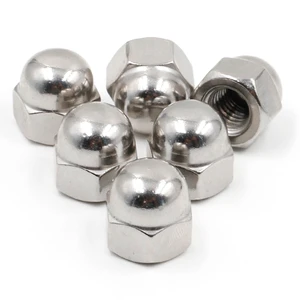 DIN1587 Pack of Cap Nut 304 Stainless Steel 18/8 Hex Drive Hex Dome Head Nut with Coated Finish