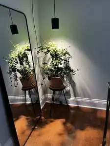 20W-40W Adjustable Brightness LED Hanging Grow Light, Full Spectrum Pendant Lamp with CE & RoHS for Indoor Medium & Large Plants