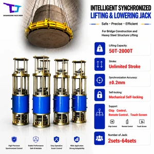 Unlimited Stroke Synchronized Lifting System Hydraulic Jack for High Accuracy Engineering Lifting Project