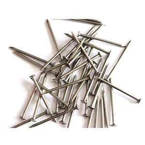 Wholesale Price Steel Spiral Smooth Shank Zinc Plated Industrial Grade Common Nails for Furniture Install