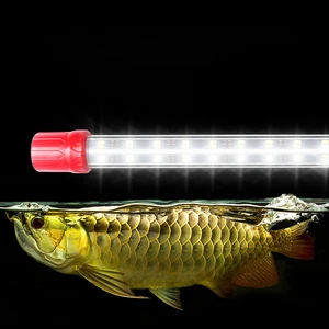 Full Spectrum LED Aquarium Light for Gold Arowana 13W High Brightness Fish Tank Lamp with 4 Rows LEDs Plant Growth Lighting