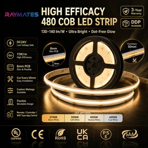 High Efficiency 480led Cob Led Strip 24v Ip20 High Lumen Super Bright Strip Light for Indoor Cabinet Commercial Ambient Lighting