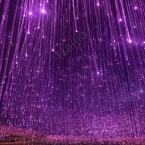 2020 Cyber Celebrity Ceiling Decorative Elegant Led Forest Star Sky Fiber Optic Rope Light