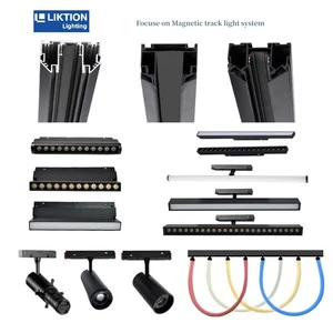 Recessed Linear Rail Mounted Dali Dimmable Tuya Zigbee Smart System Spot Cob 48v Led Magnetic Track Light for Stretch Ceiling