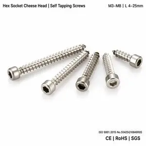 Stainless Steel 304 Hex Socket Allen Cheese Head Self Tapping Screws Outdoor Furniture Wood Deck Sheet Metal M3 M4 M5 M6 M8