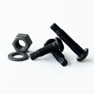All Size Torsional Shear Bolt with Nut and Washer High Strength 10.9 Grade for Building Industry GB3632