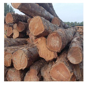 Premium Teak Hardwood Logs Round Dried Timber for Flooring Furniture and Sawmill Production