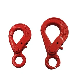 New Free Sample ISO Certified Drop Forged Alloy Steel Self-locking Hook Latch Eye Painted Finish for Hardware/Lifting