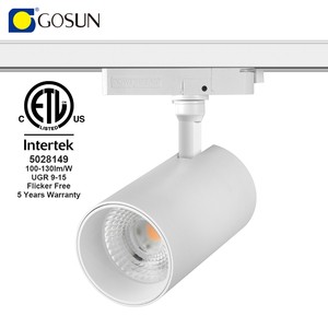 Commercial Price New Design US Standard Anti Glare Flicker Free Spotlight 15W 20W 30W 34W Cob Led Track Light