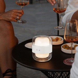 Portable Capsule Design LED Night Light USB Charging Small Table Lamp Dimmable Eye-protection Bedside Lamp for Gift and Home