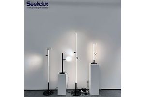 Minimalist LED Track Lights COB Ultra-slim Remote Control 3CCT Aluminum Profile Standing Desk Corner Stand Lamp Home Decor