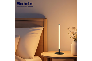 Modern Minimalist Aluminum Acrylic IP44 Table Lamp LED Remote/App Control AC Night Light Decor Restaurant Bedside Desk Bedroom