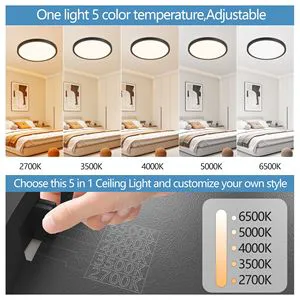 6PK 12 Inch Dimmable LED Flush Mount Ceiling Light 2700K 6500K Adjustable 24W 2880LM Modern Ultra Thin Flat Fixtures