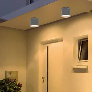 Modern Design Outdoor Garden Porch Ceiling Lights Waterproof IP44 Cylinder Die-Cast Aluminum GU10 Mini Size with AC Power Source